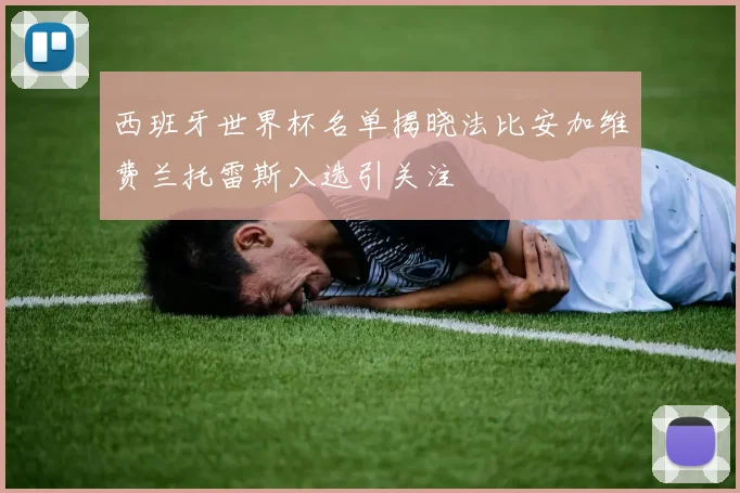 西班牙世界杯名单揭晓法比安加维费兰托雷斯入选引关注