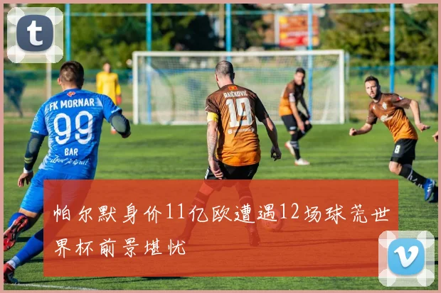 帕尔默身价11亿欧遭遇12场球荒世界杯前景堪忧