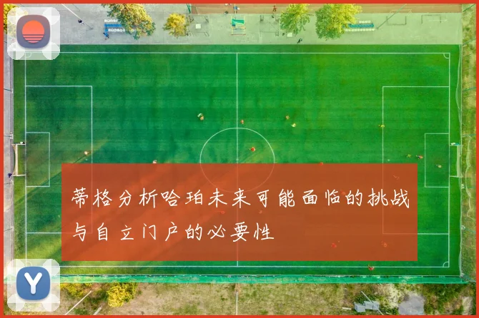 蒂格分析哈珀未来可能面临的挑战与自立门户的必要性